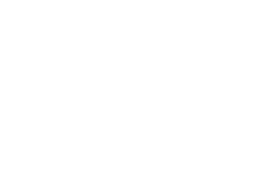 Shoe Den logo
